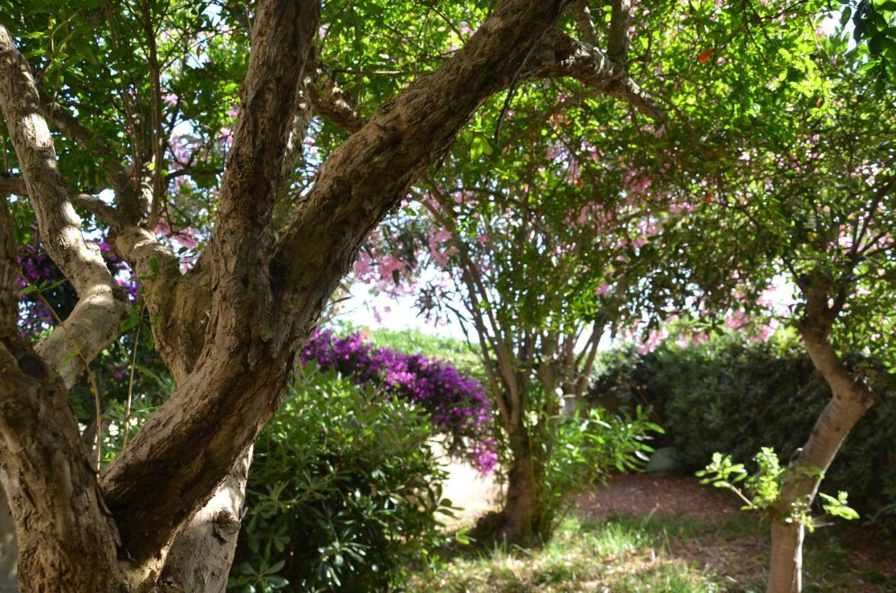 Fantastic Sardinia Villette Con Giardino Fronte Mare Fertilia Faho-Gav01-Gav02 Exterior photo