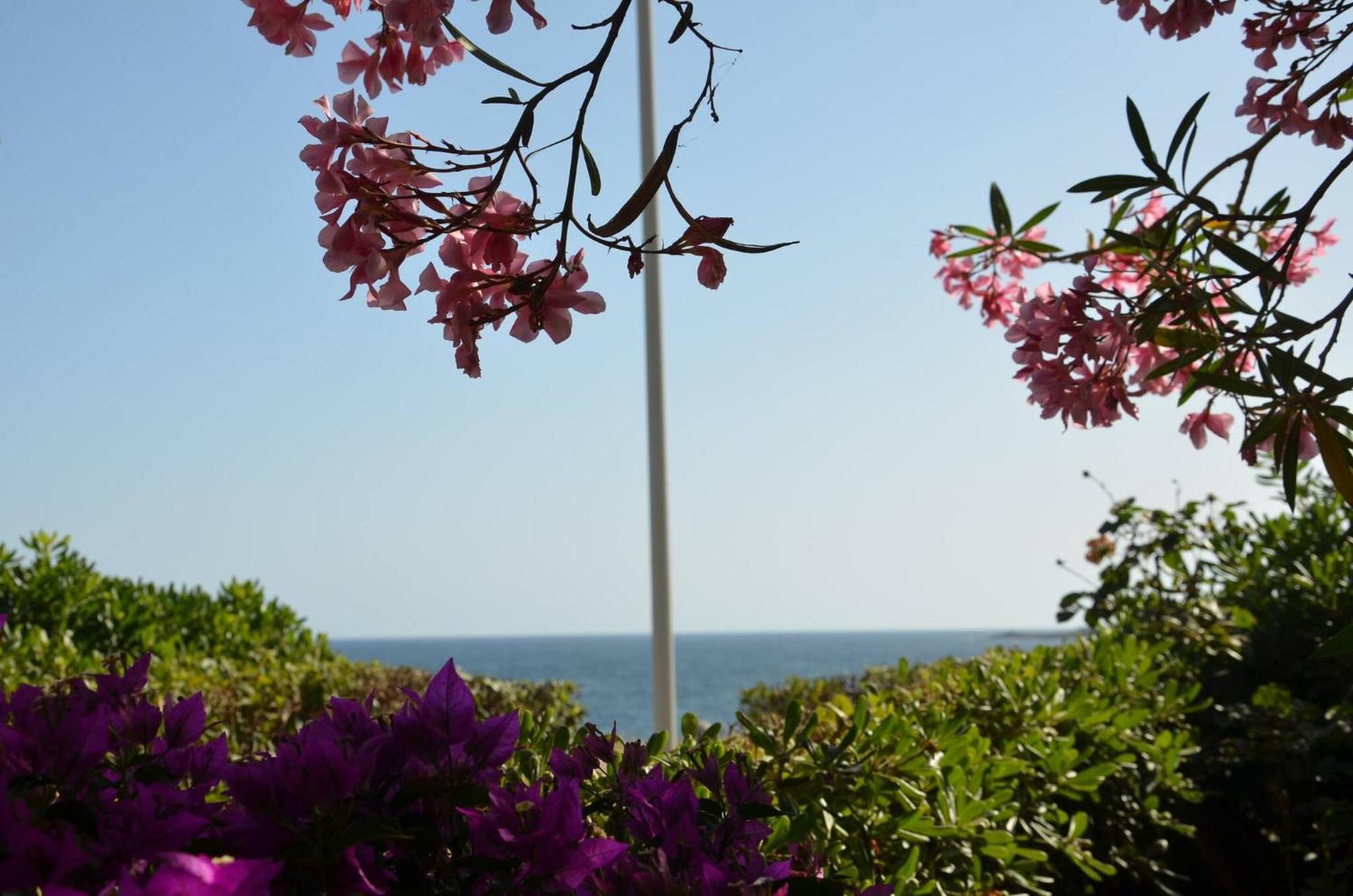 Fantastic Sardinia Villette Con Giardino Fronte Mare Fertilia Faho-Gav01-Gav02 Exterior photo