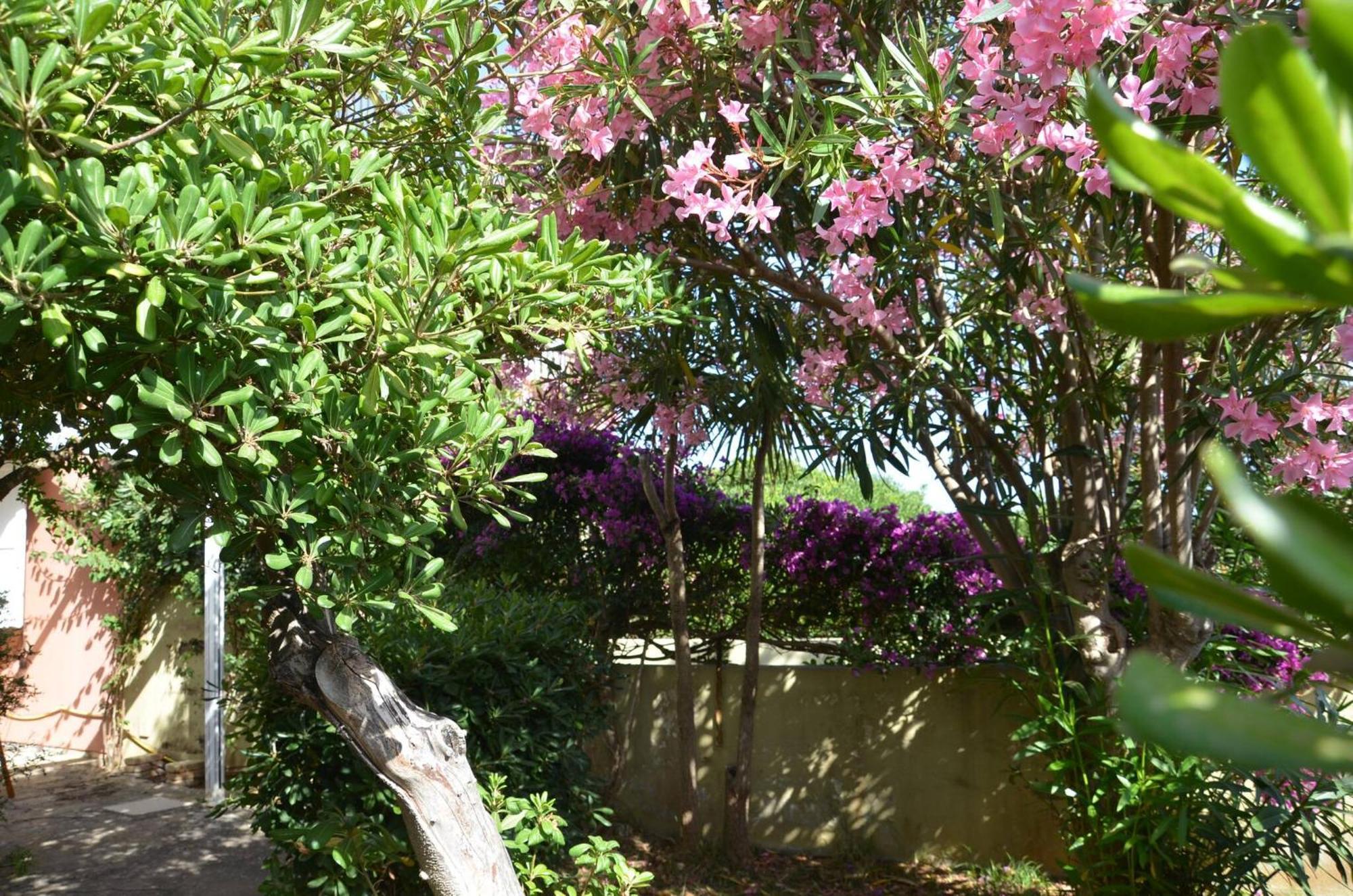 Fantastic Sardinia Villette Con Giardino Fronte Mare Fertilia Faho-Gav01-Gav02 Exterior photo