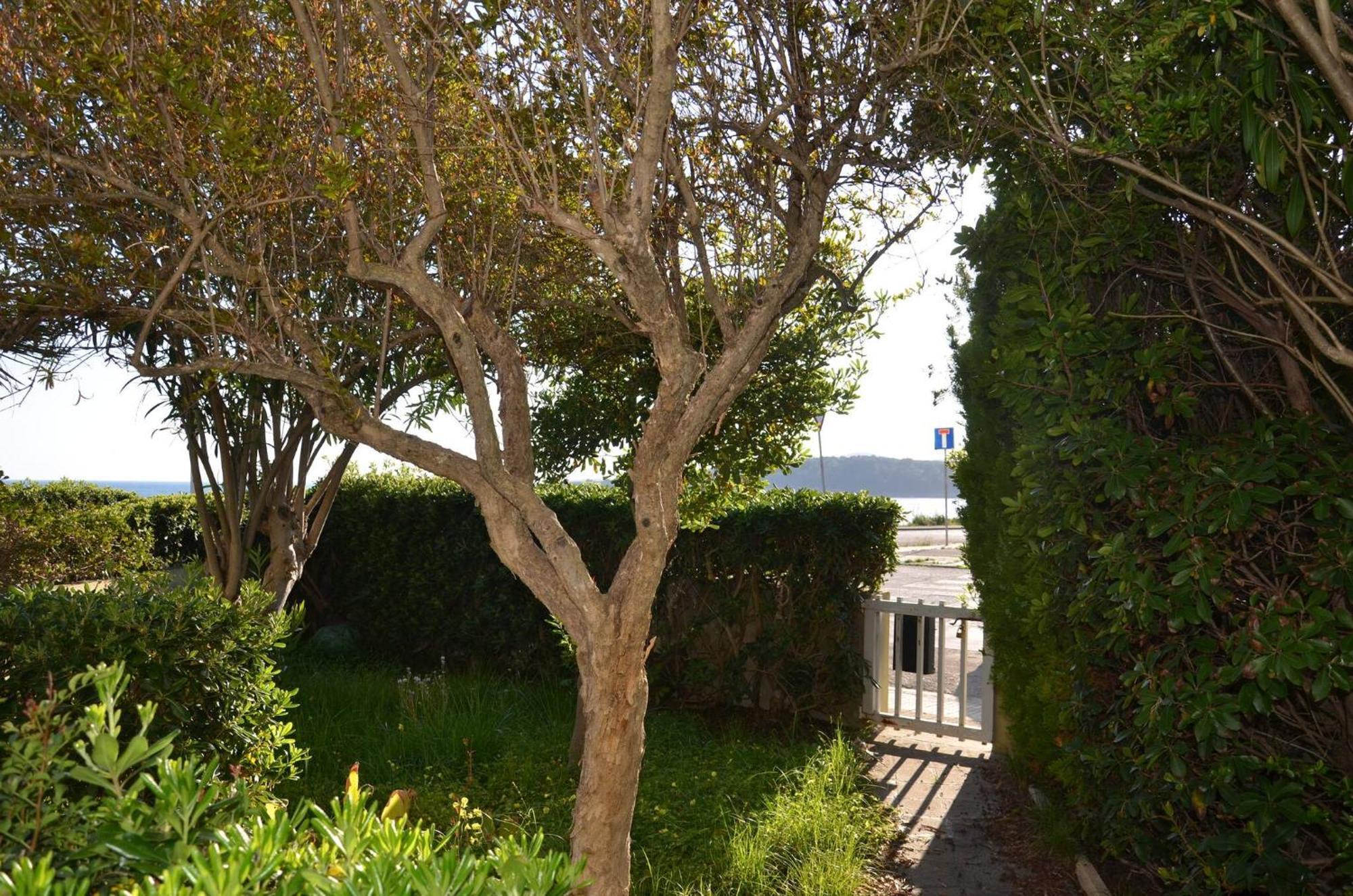 Fantastic Sardinia Villette Con Giardino Fronte Mare Fertilia Faho-Gav01-Gav02 Exterior photo